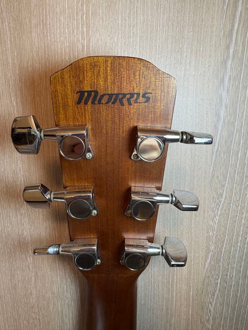 Morris F-25 アコースティックギター