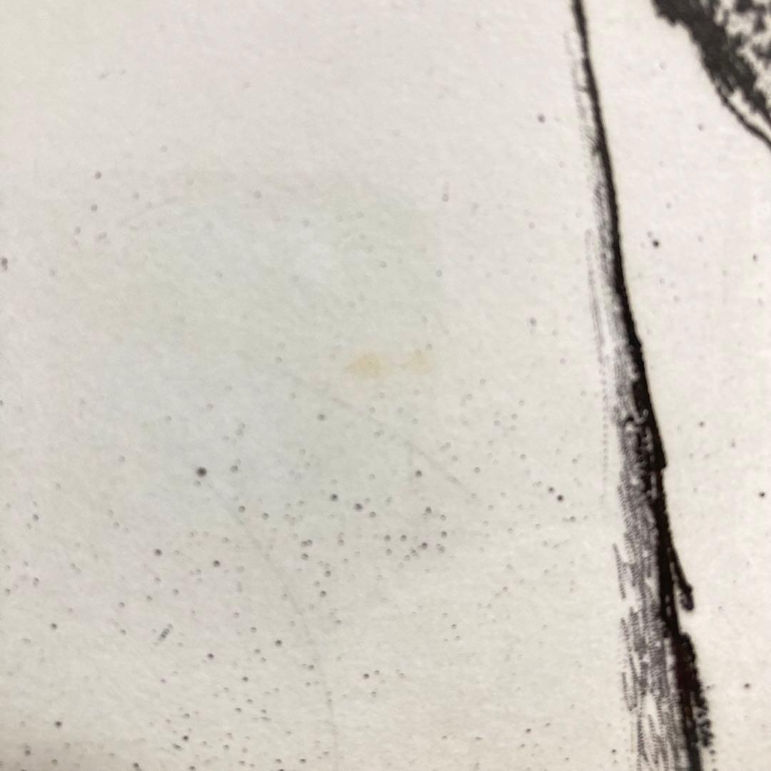 【真作保証】マリノ・マリーニ「馬」カラー銅版 直筆サイン 90部限定 版画