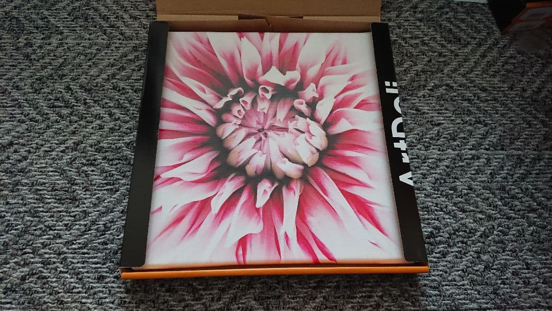 未使用 ArtDeli アート ポスター 自然 植物花系 まとめて 8個