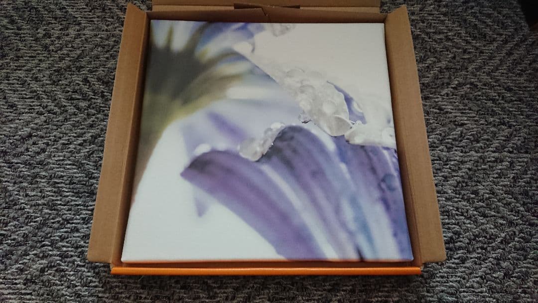 未使用 ArtDeli アート ポスター 自然 植物花系 まとめて 8個