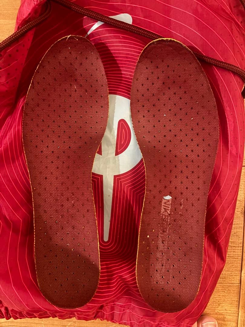 NIKE ナイキティエンポ レジェンド 9 エリート FG Team レッド