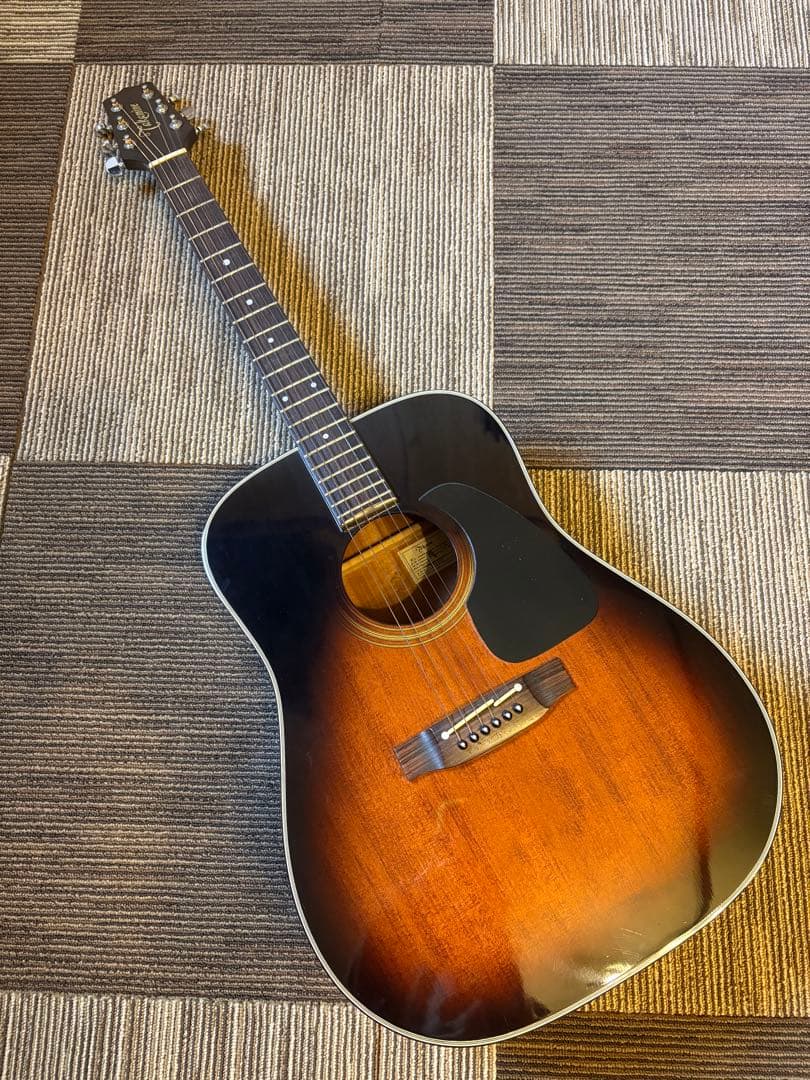 Takamine PT206 ハードケース付き