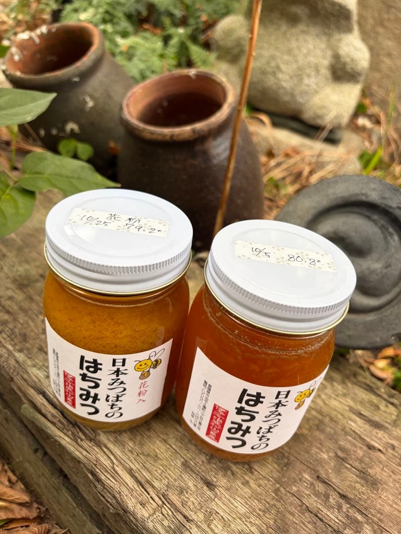 ハチミツ　日本蜜蜂のはちみつ　奥山の奥の蜂蜜結晶化進行中と花粉入り蜂蜜ほぼ結晶化