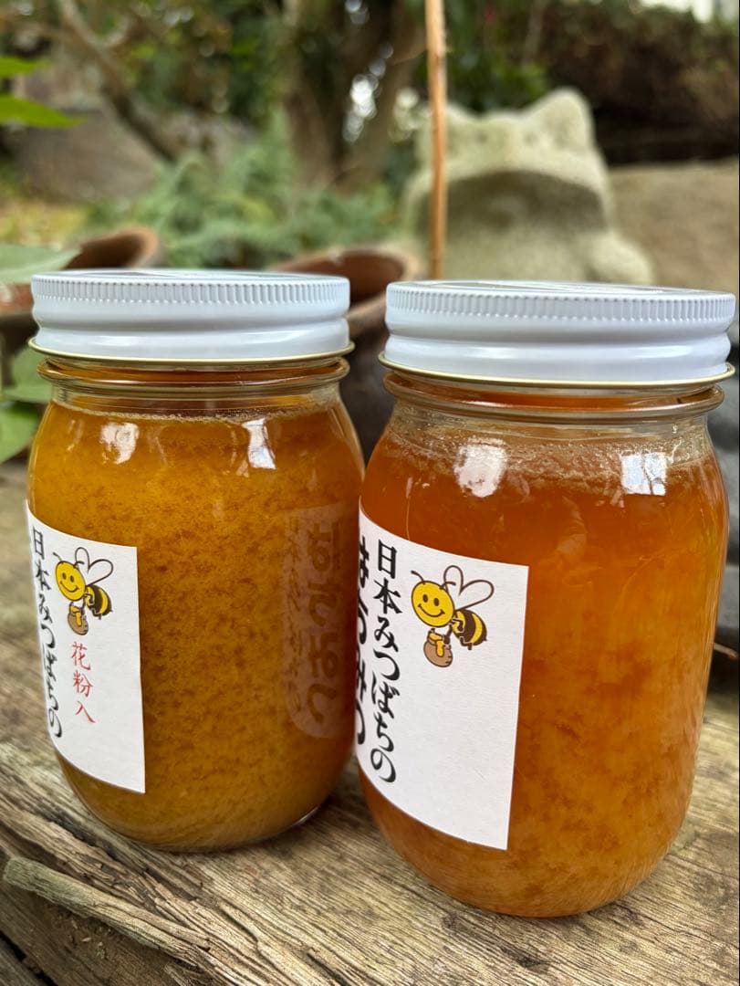 ハチミツ　日本蜜蜂のはちみつ　奥山の奥の蜂蜜結晶化進行中と花粉入り蜂蜜ほぼ結晶化
