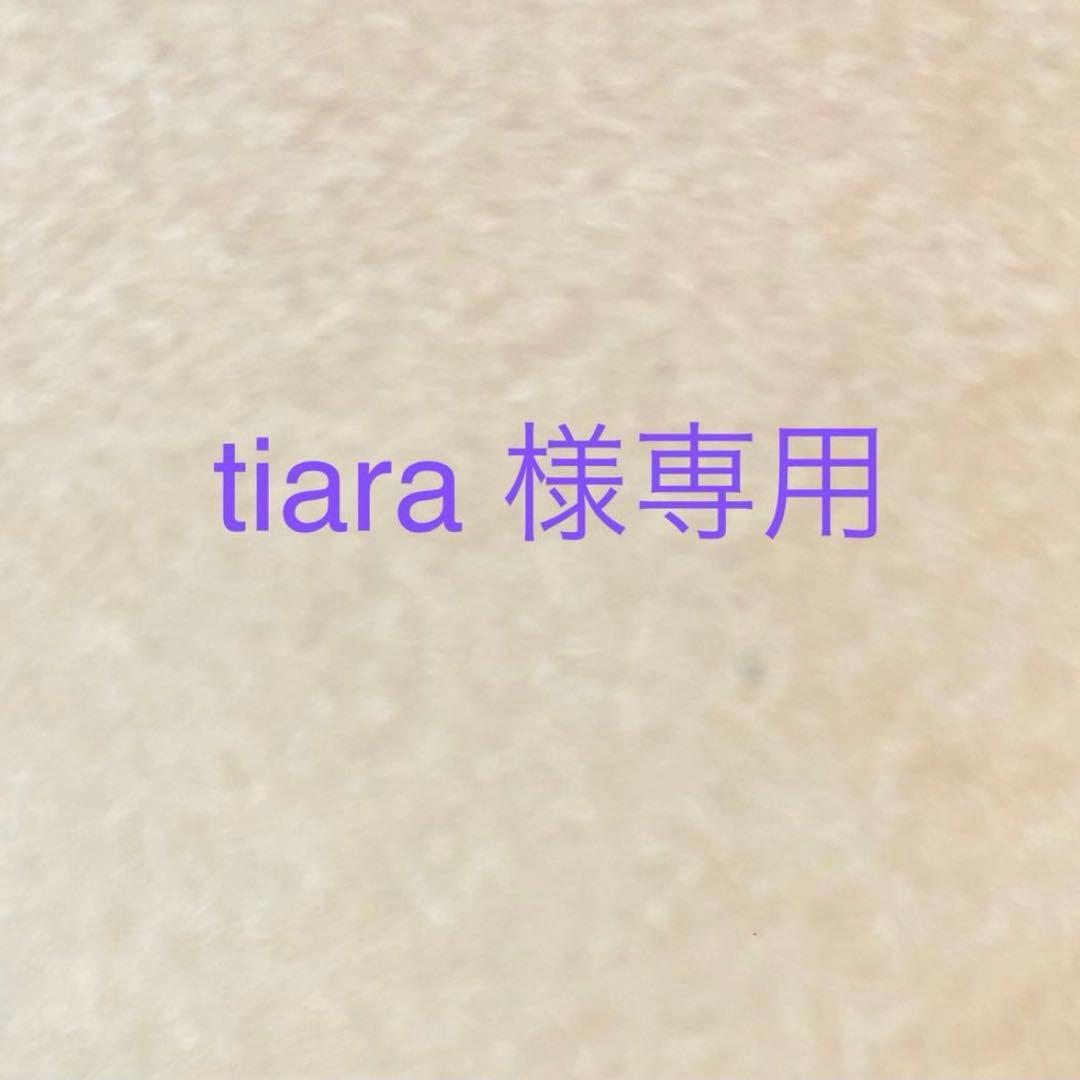 C干し杏#005 ドライフルーツ ドライアプリコット 玉井フルーツ