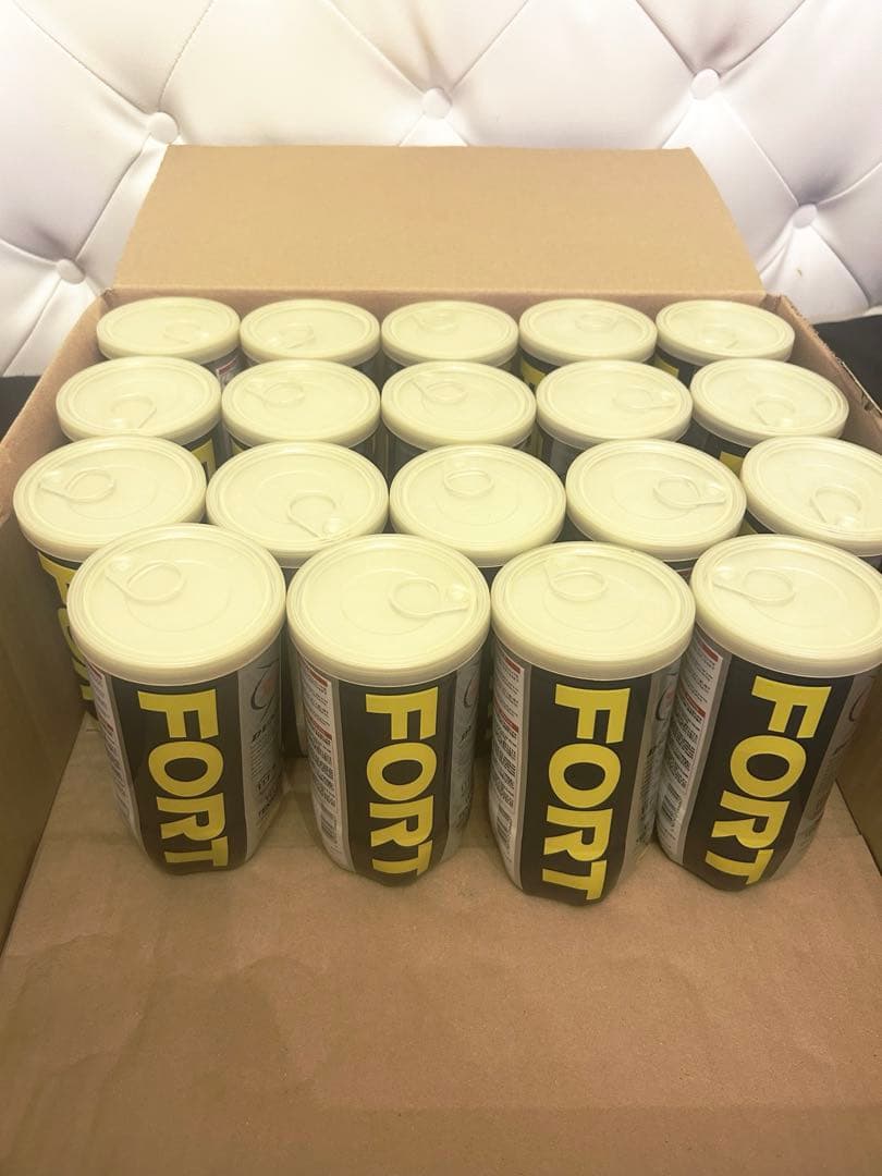 DUNLOP FORT テニスボール 2球入 19缶 38球