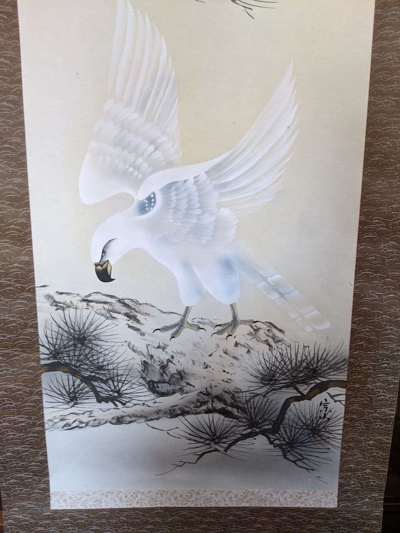 掛軸/老松白鷹/松井宗山/茶道具/箱付き/送料無料/即購入歓迎