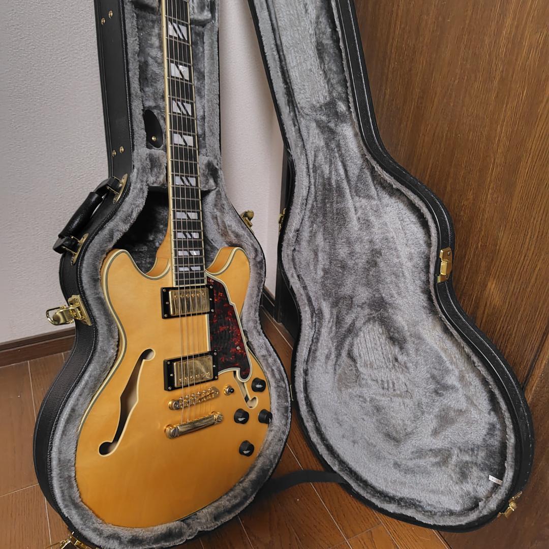 ［新品同様］D'Angelico Deluxe Mini DC