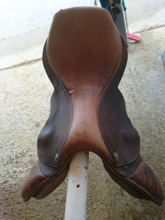 ジェフリー 鞍 障害用 乗馬