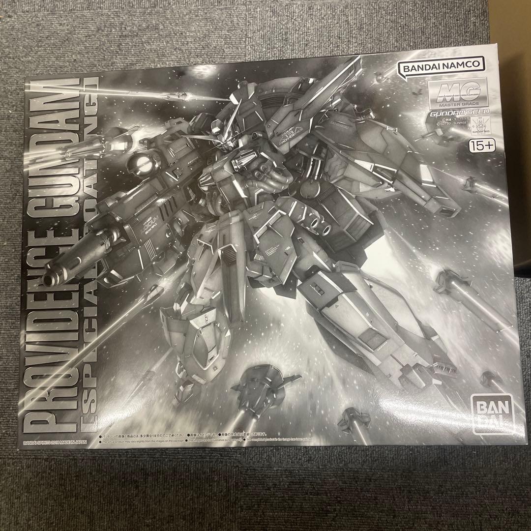 mgプロヴィデンスガンダム スペシャルコーティング　ガンダムプラモデル未組立品