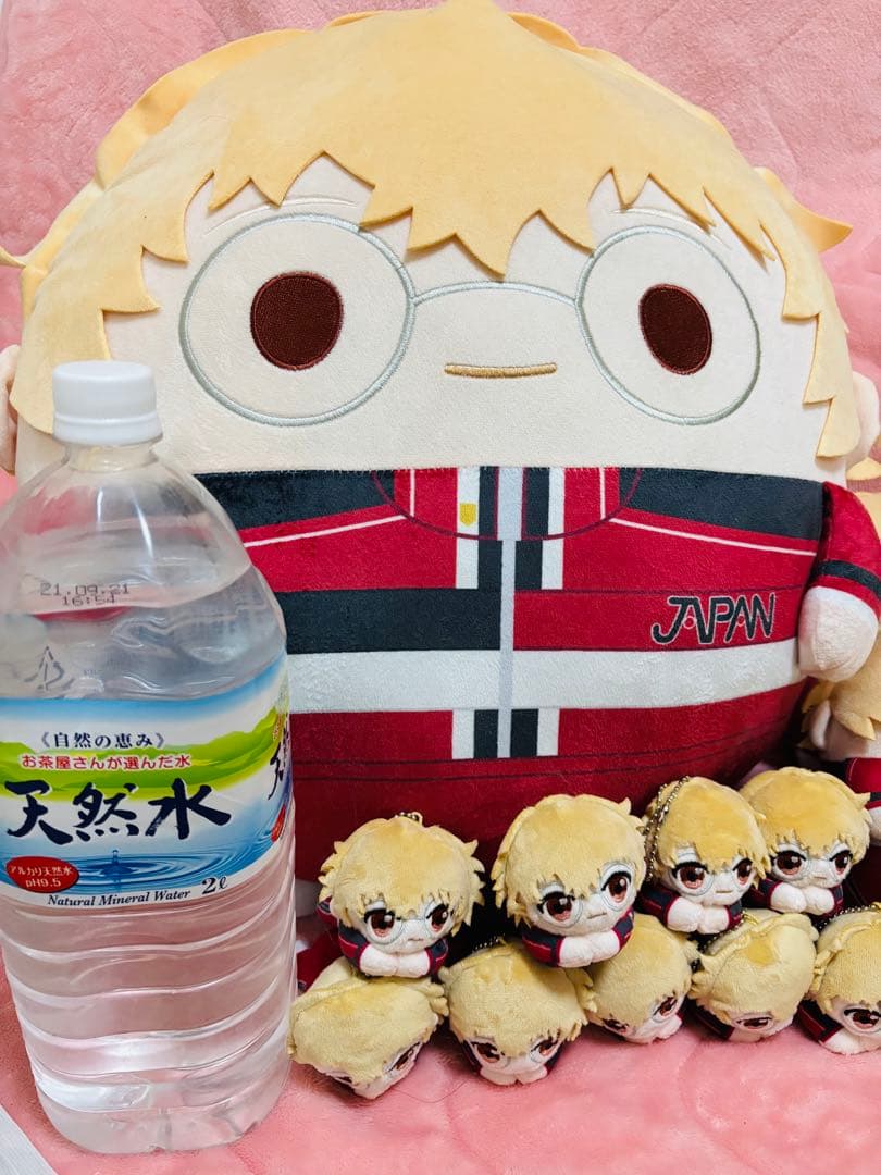 テニスの王子様　ぬいくじ　入江奏多　ふわころりん　はぐキャラ　ぬいぐるみ　A賞