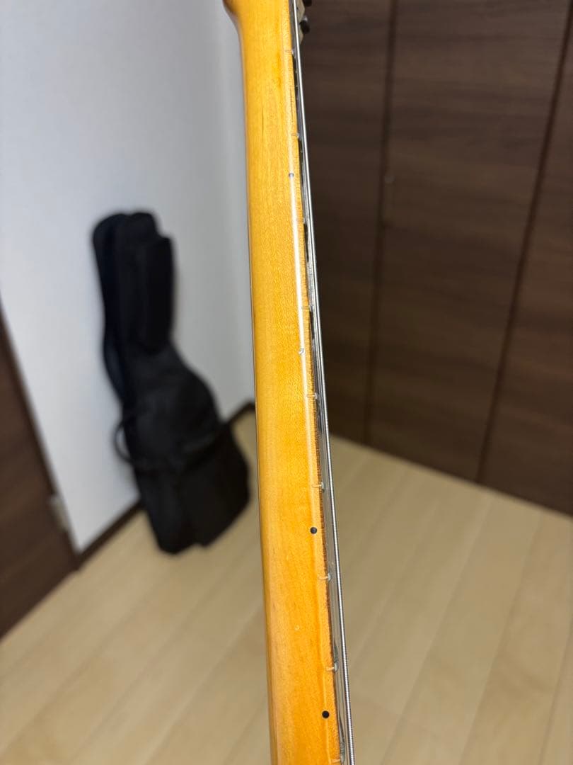 SCHETER SD-2 ピックアップ、ストラップ、ギグバッグおまけ付き