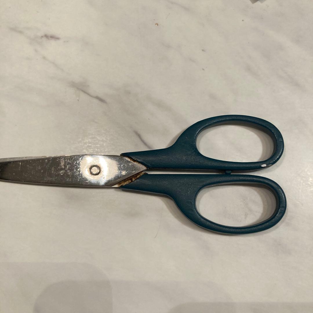 青いプラスチックハンドルのはさみ