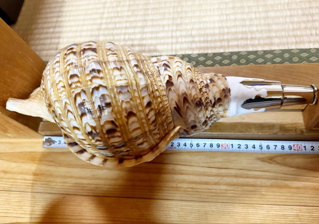 特大修験道法螺貝40.5㎝　山伏　密教　魔除け　熊よけ❣️ホラガイ　ほら貝