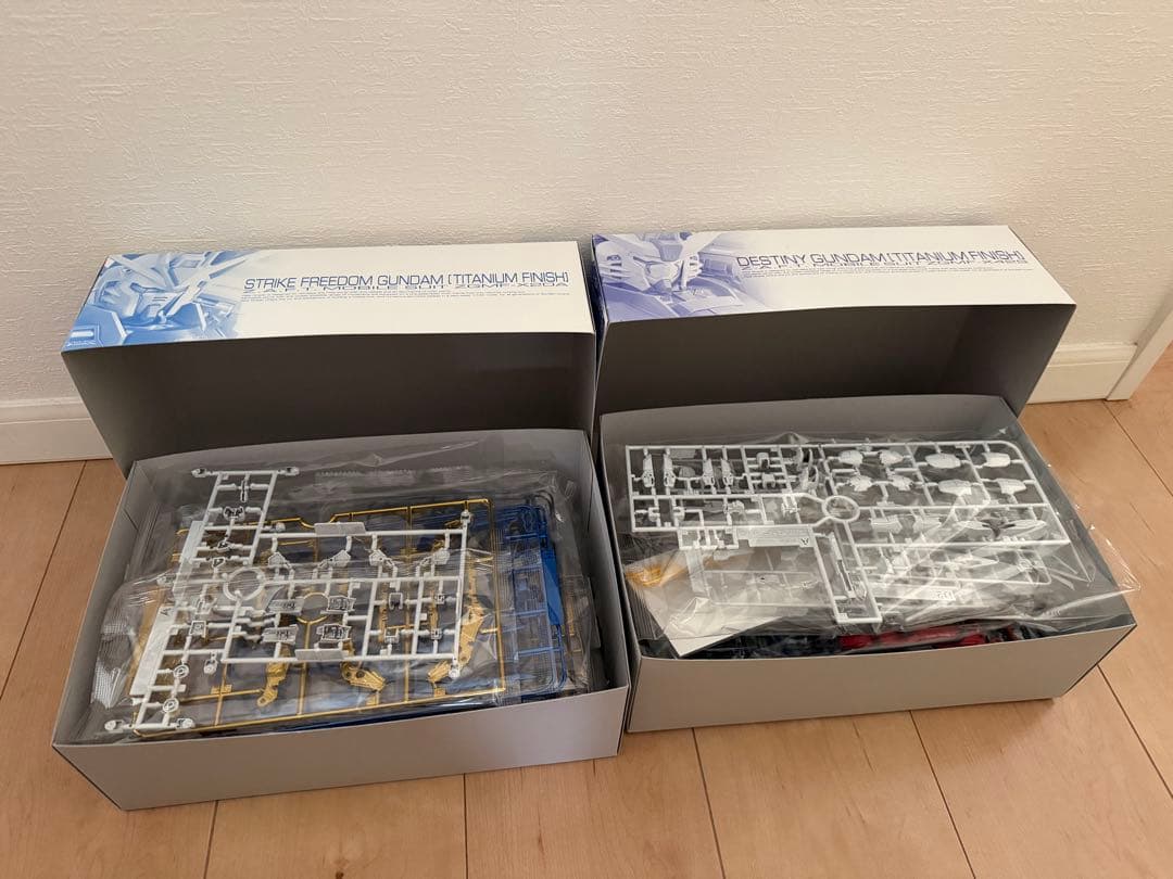 ＊RGストフリ&デスティニーチタニウム+オプションセット