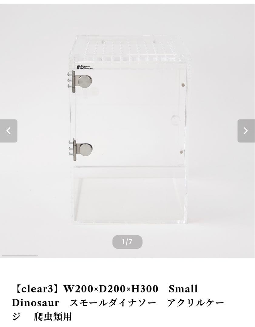 W200×D200×H300　スモールダイナソー Small Dinosaur