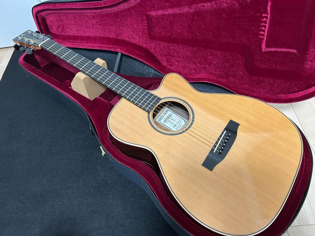 レア/希少　ASTURIAS Solo LTD/C アコースティックギター