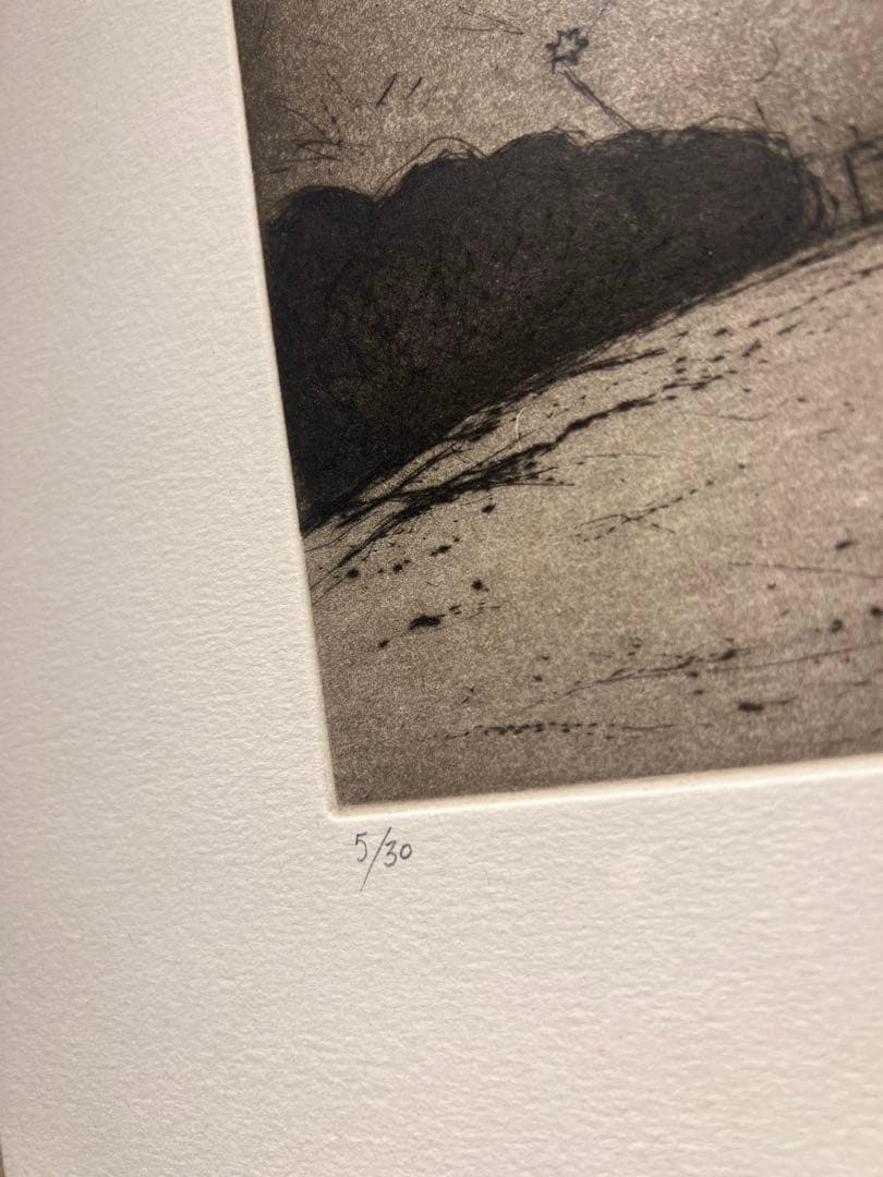 美品　大月雄二郎【星座】　銅版画　本付　限定30