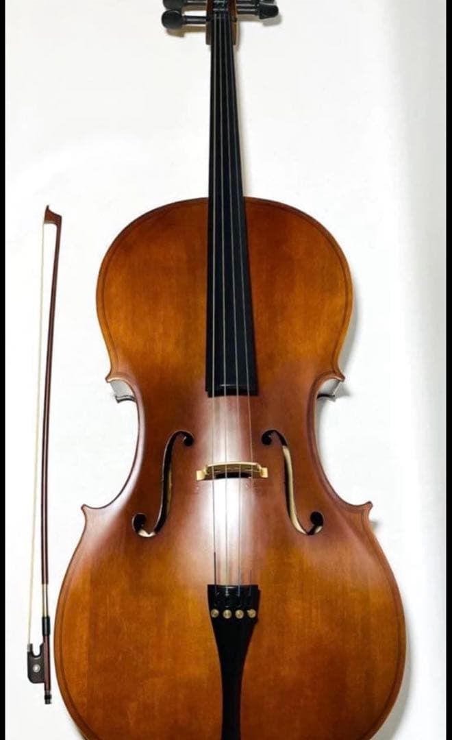 【極美品】Hallstattハルシュタット HC-450チェ 口