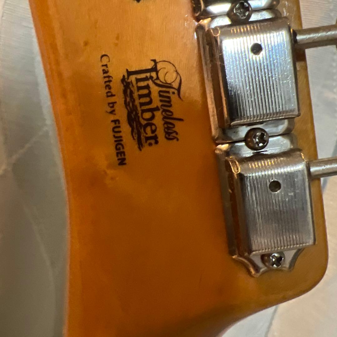 【専用】fujigen テレキャスタータイプ　timeless timber