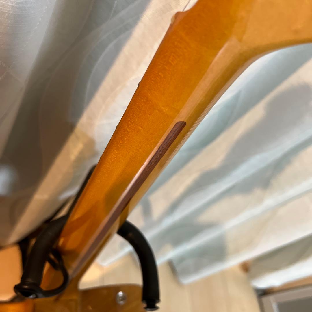 【専用】fujigen テレキャスタータイプ　timeless timber