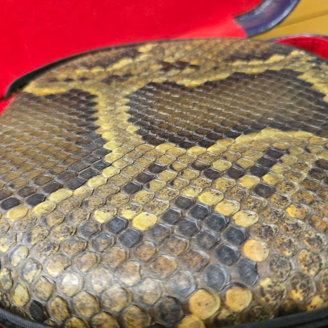 ビンテージ　三味線本体 蛇味線 ケース付き