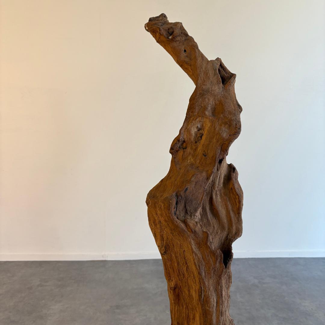 御神木　アート　インテリア　生花　オブジェ