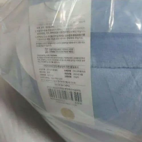 公式　ビッグサイズ　韓国限定　BT21　タタ　TATA　BTS　クッション　テテ