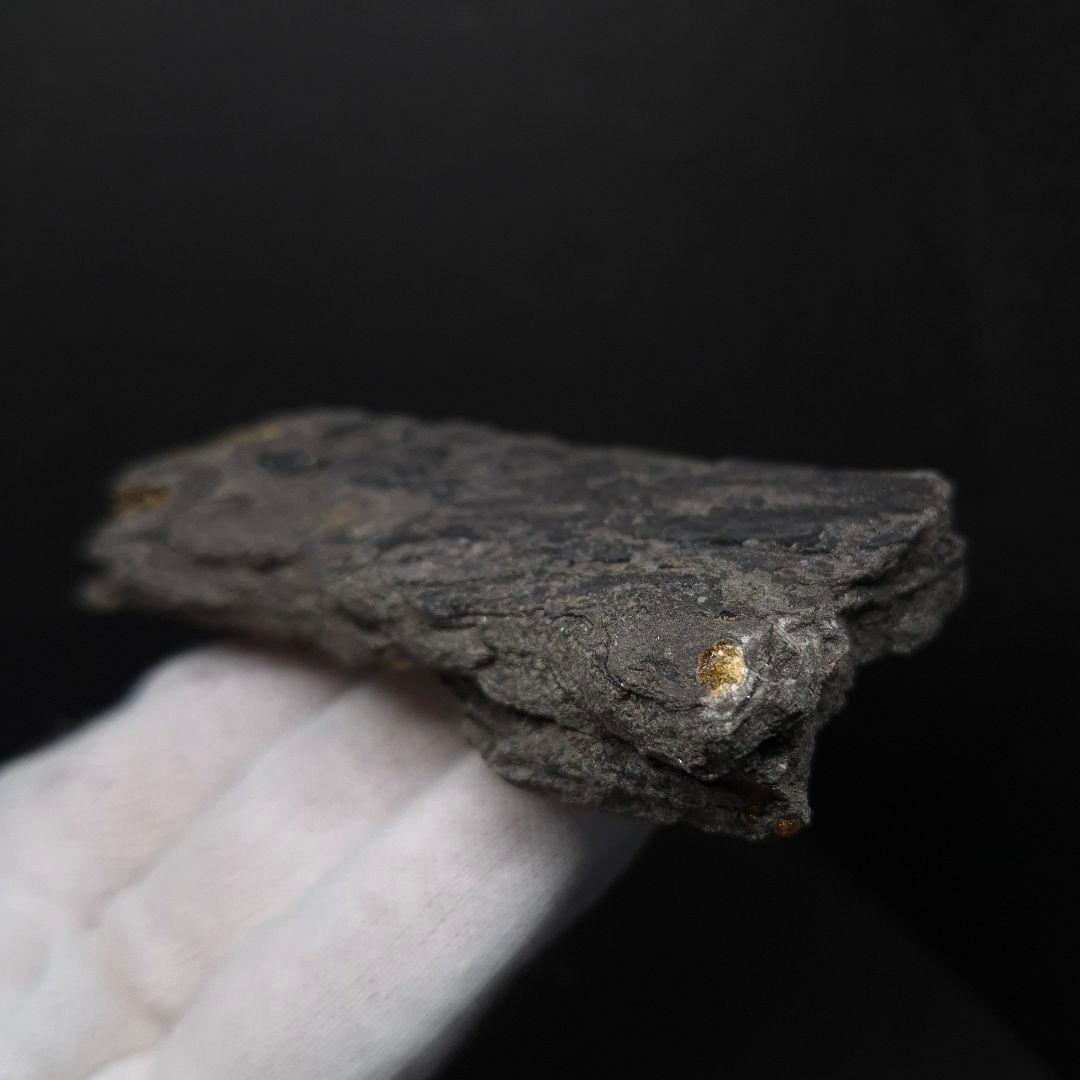 母岩付き 琥珀 化石 本物 87.71mm fab1