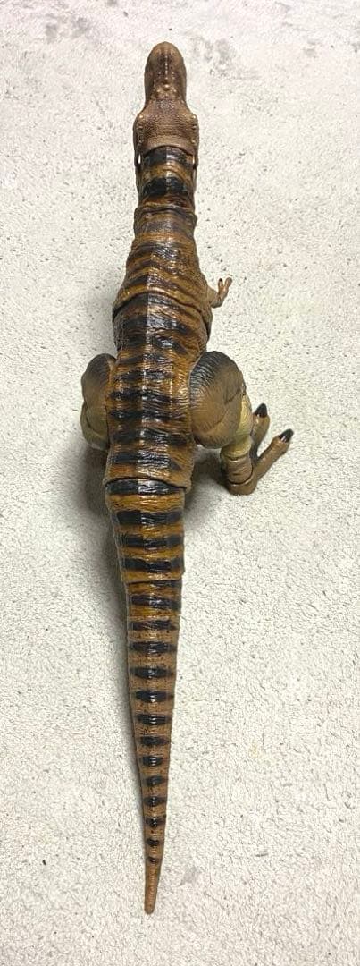 ハモンドコレクション　ティラノサウルス マテル