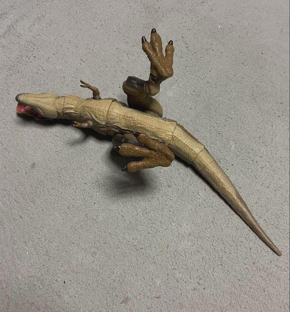 ハモンドコレクション　ティラノサウルス マテル