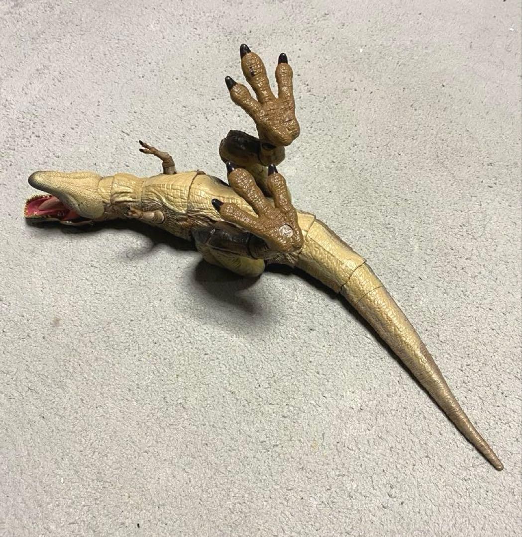 ハモンドコレクション　ティラノサウルス マテル