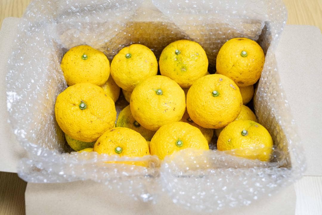 ②kenynares高知県産本柚子約20kg（40/60）