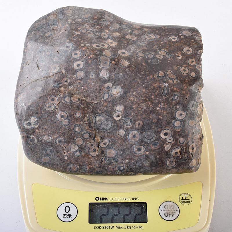 天然石　鑑賞石　梅花石　置物　重さ約2222g　V　R8610