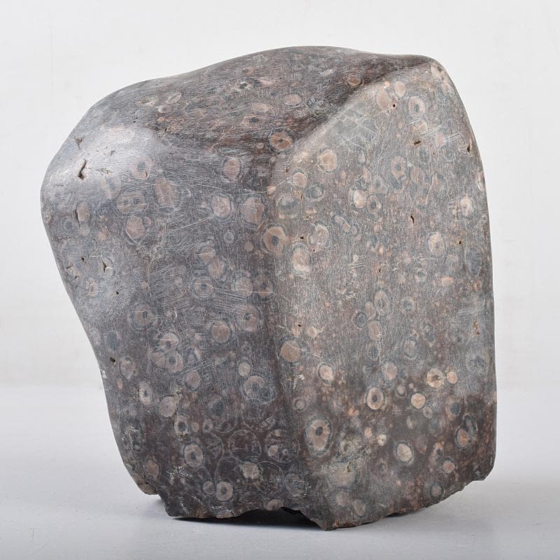 天然石　鑑賞石　梅花石　置物　重さ約2222g　V　R8610