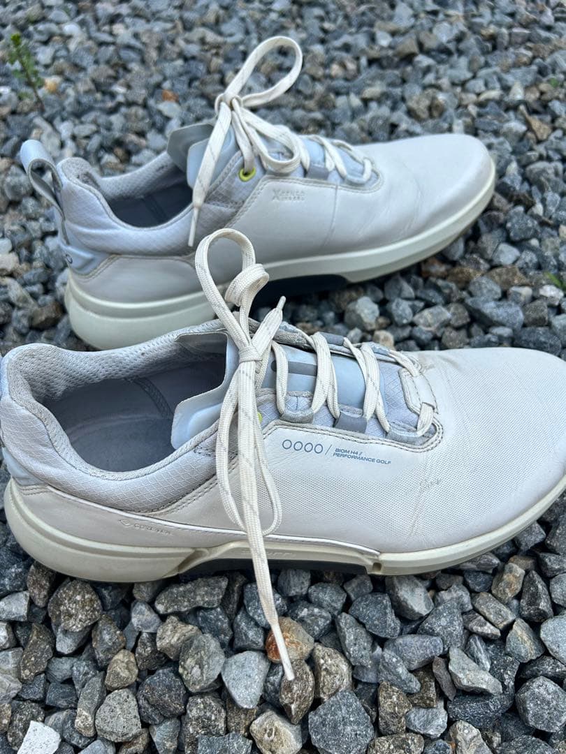 シューズ(男性用) ecco BIOM HYBRID4 H4