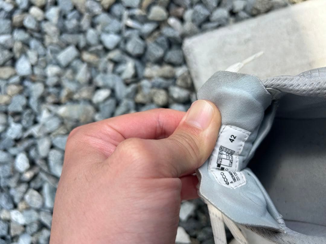 シューズ(男性用) ecco BIOM HYBRID4 H4