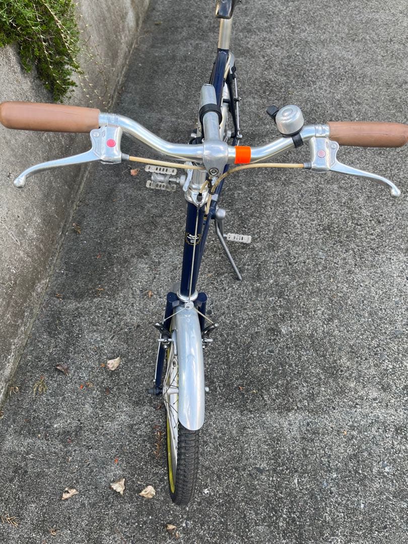 ヒカル　　　ロイヤルノートン