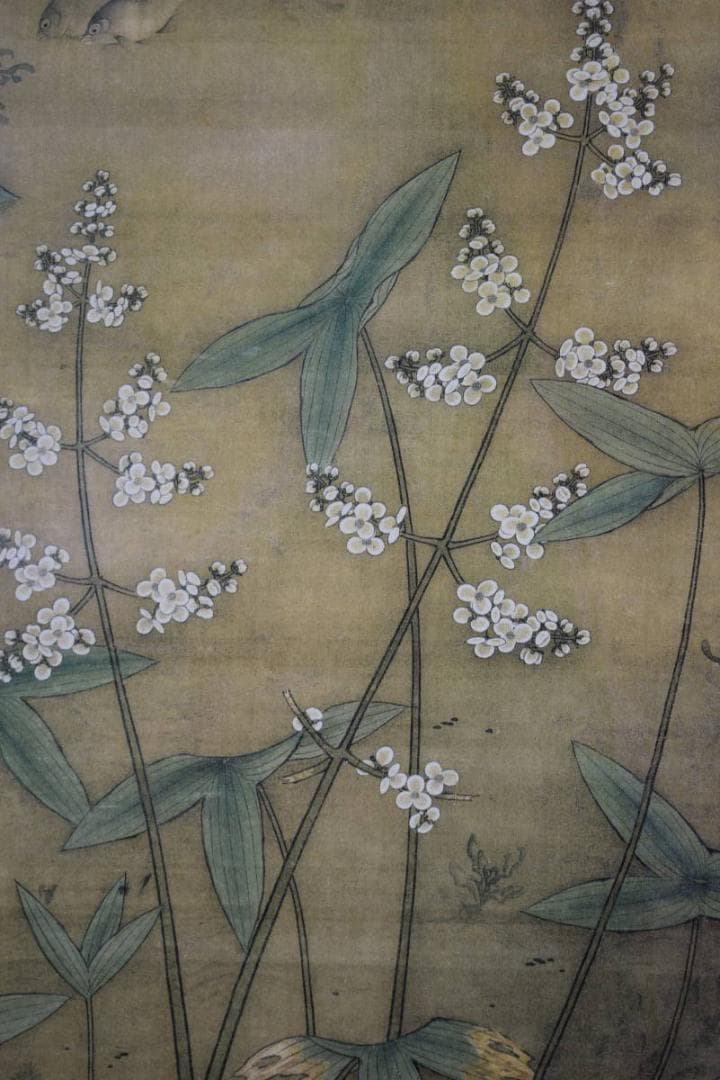 複製/繆輔/魚藻図/鯉/川魚/鮒画賛/工芸/布袋屋掛軸HJ-995