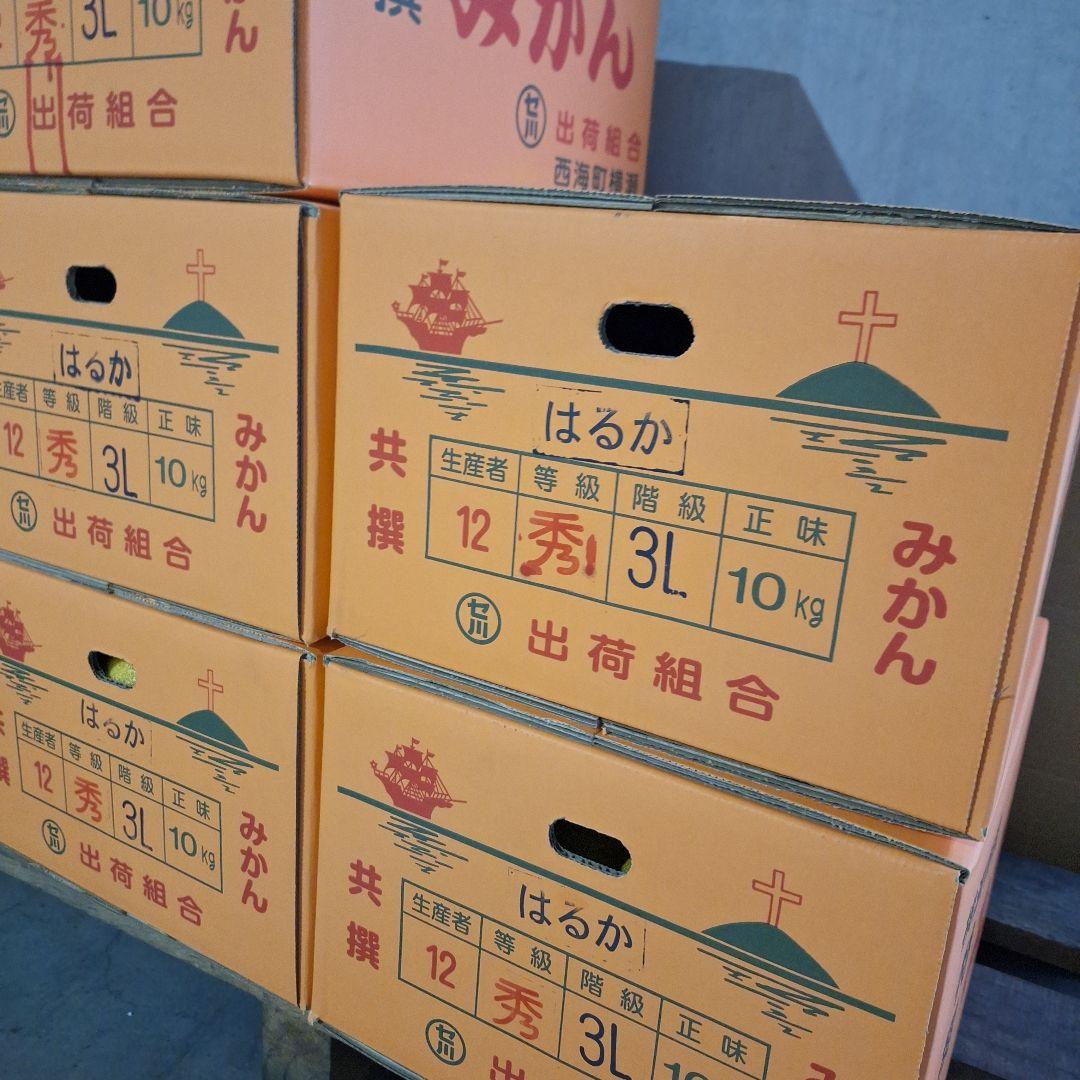 はるかみかん 2L～3L　８キロ×2箱