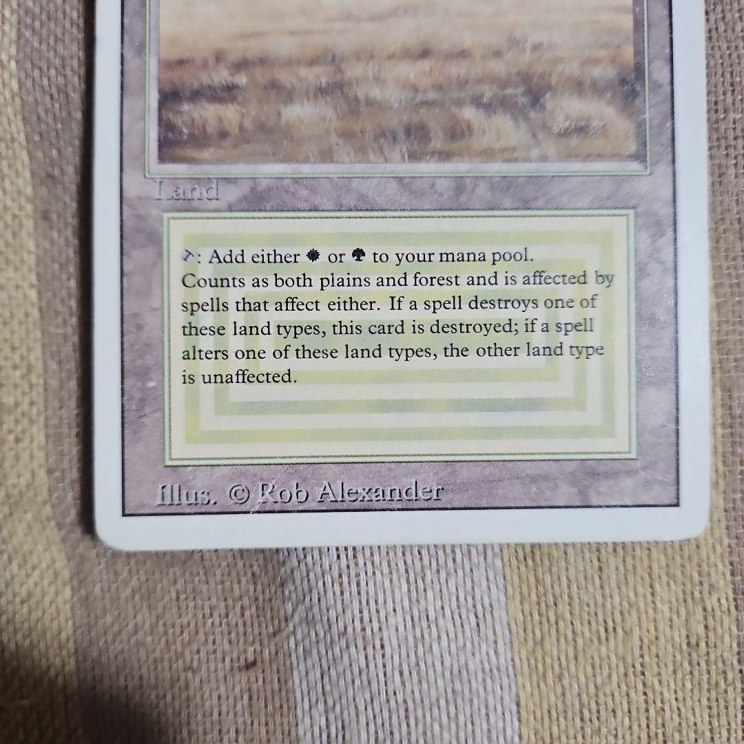 マジック：ザ・ギャザリング デュアルランド サバンナ