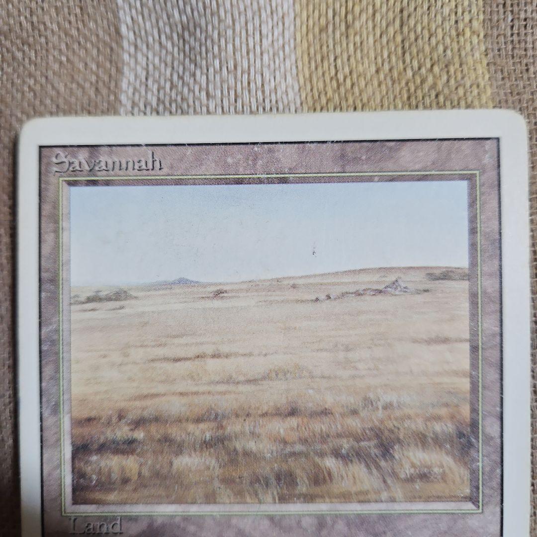 マジック：ザ・ギャザリング デュアルランド サバンナ