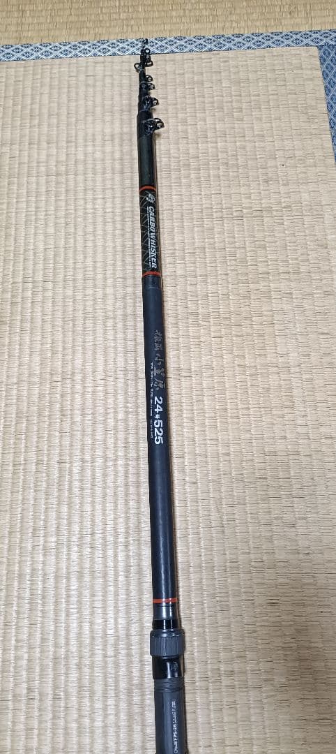 ダイワ　小笠原24号525　カーボウィスカー　石鯛　タマン　浪人鯵　スジアラ