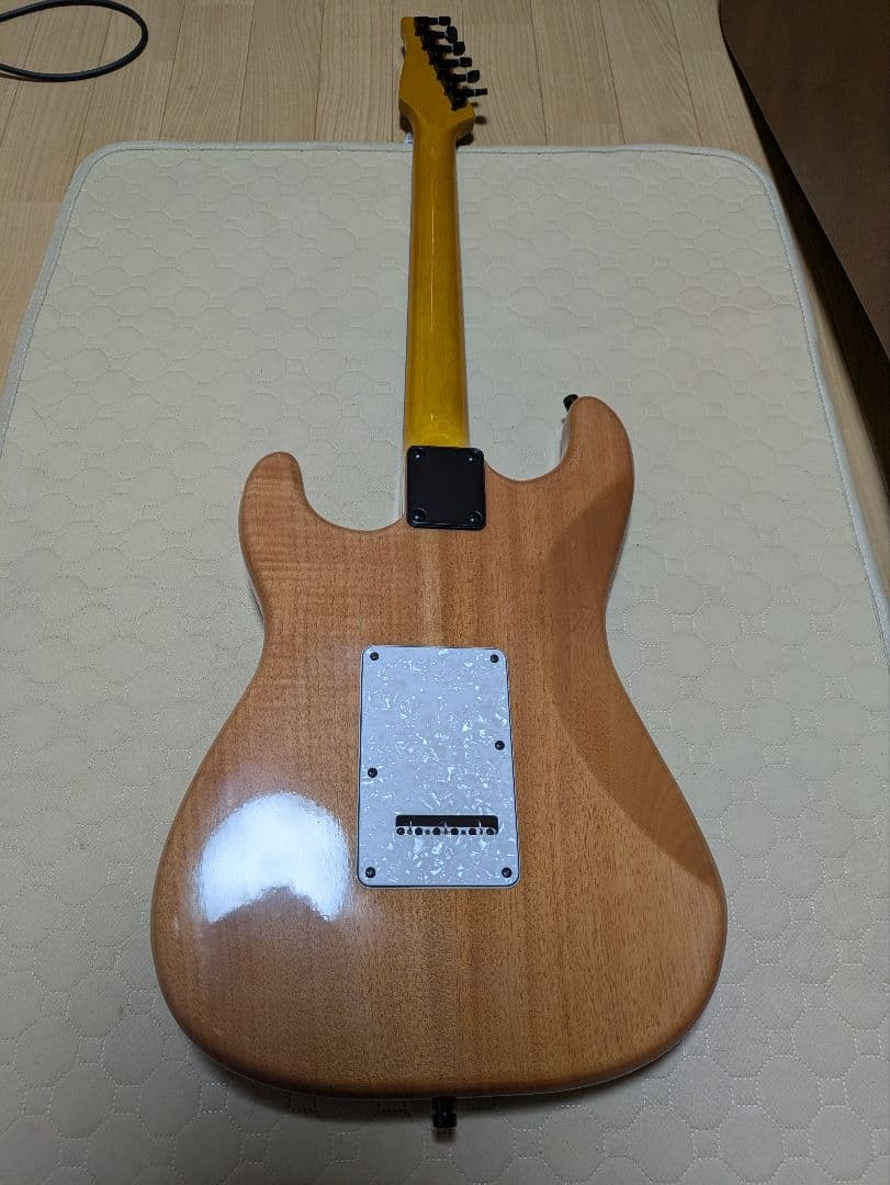 VERTICE S.C.P エレキギター