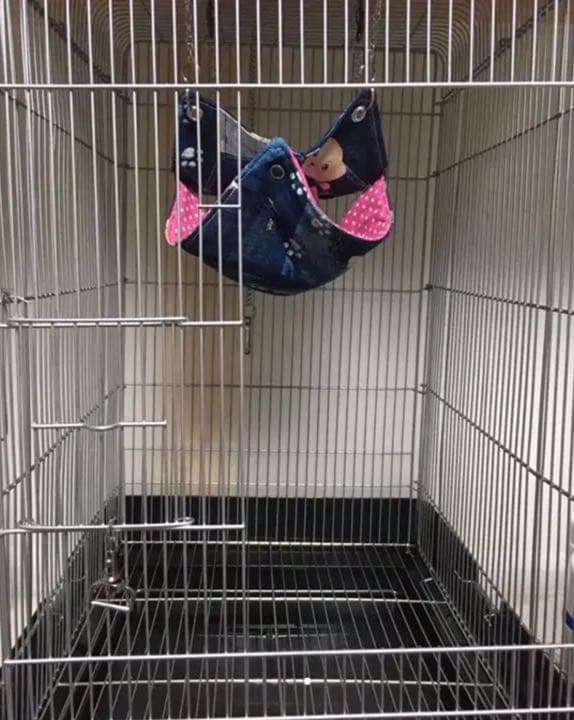 モモンガハウス（猫柄・ピンク）ボアピンク       ポーチ  2000円