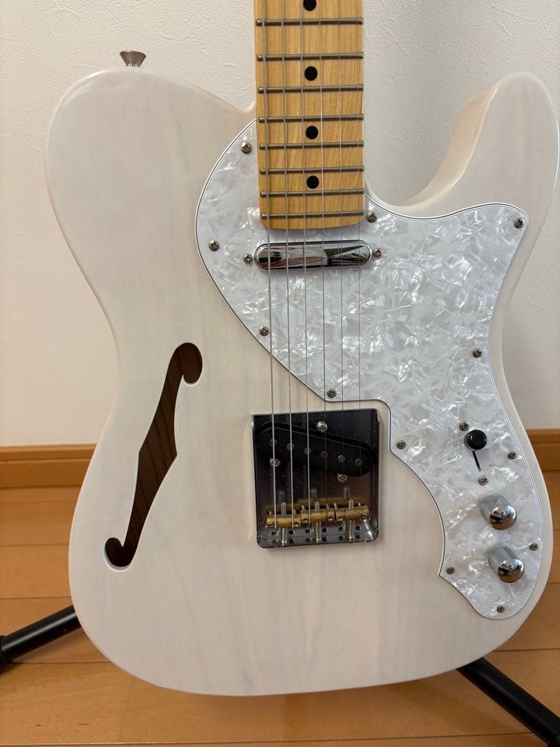 FUJIGEN NTE10MAHT テレキャスターシンライン モデル