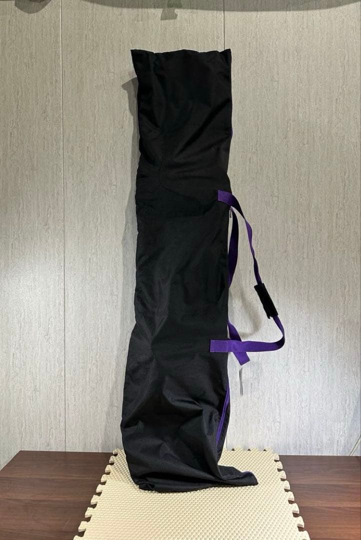 美品 スノーボード FTWO（現FNTC） TNT 147cm ケース付