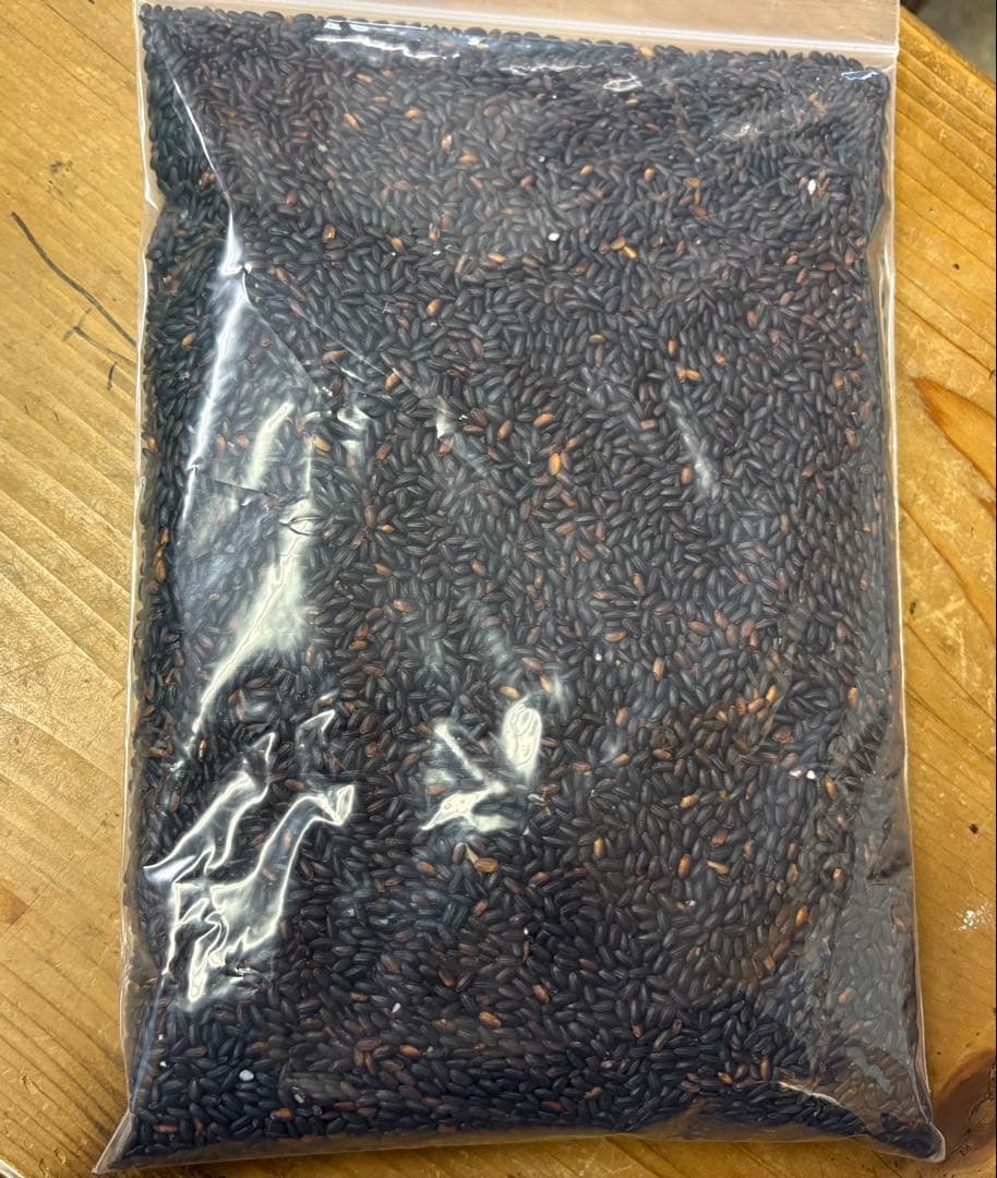 7年度愛知県産 黒米 20Kg