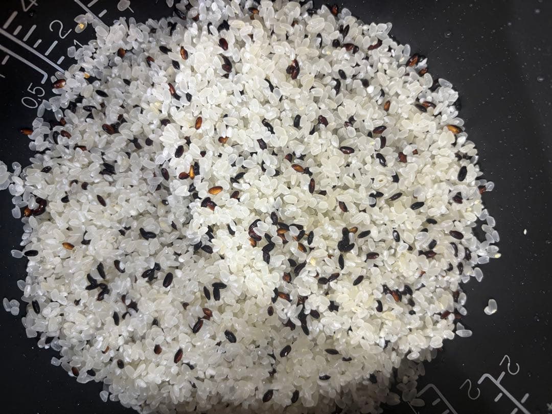 7年度愛知県産 黒米 20Kg