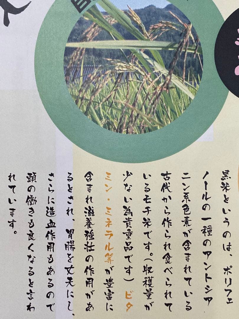 7年度愛知県産 黒米 20Kg